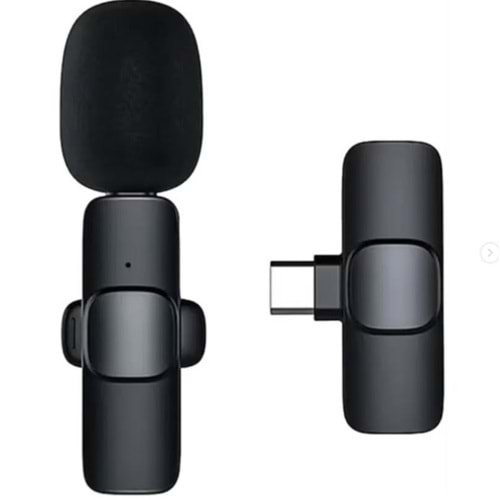 Bilişim Burada ZR105 K9 TYPE-C TEKLİ MİKROFON