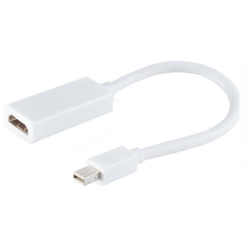 Bilişim Burada ZR138 MİNİ DP HDMI ÇEVİRİCİ KABLO 30 CM