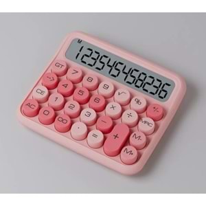 ONEZERO ZR739 JN-800 JUNNO PEMBE HESAP MAKİNESİ