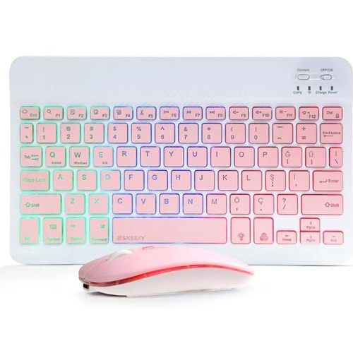 ONEZERO ZR955 PEMBE RGB KM SET